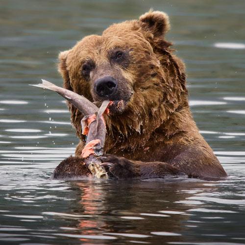 Náhledový obrázek